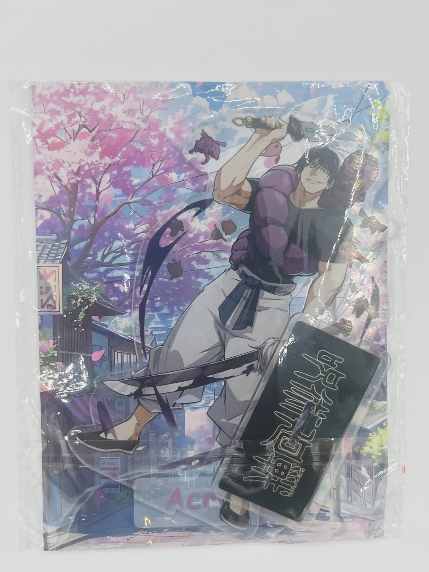 Jujutsu Kaisen Acrylic Display Stand – Toji Fushiguro